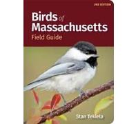 Birds Of Massachusetts Field Guide