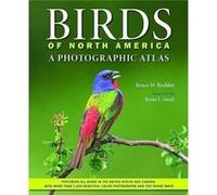 Birds of North America by Beehler & Bruce M. Research Scientist and Field Naturalist & National Museum of Natural History & Smithsonian Institution Beehler Bruce M. Research Scientist and Field Natura