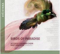 Birds of Paradise