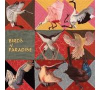 Birds Of Paradise