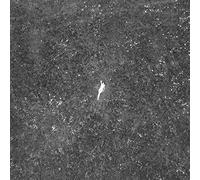 Birds of Passage - Last Garden-Clear Vinyl [Import]