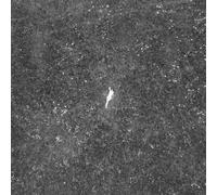 Birds Of Passage - The Last Of Garden [Vinyl] 180 Gram, Digital Download