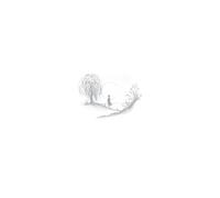 Birds of Passage - Without the World -Hq-