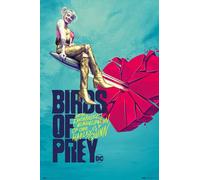 Birds of Prey - Broken Heart - Impression d'affiches - Taille 61x91,5 cm