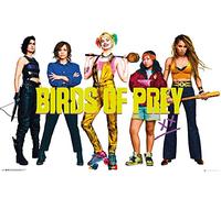 Birds of Prey - Group - Poster de cinéma - Dimensions 91,5 x 61 cm + cadre amovible Shinsuke® Maxi MDF noir, vitre en acrylique