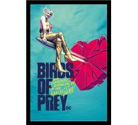 Birds of Prey - Poster - Broken Heart + cadre amovible, Shinsuke® Maxi MDF noir, vitre acrylique
