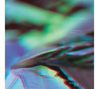 Birds of Prey Vanishing Point (Vinyl) 12" Album