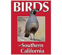 Birds Of Southern California