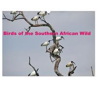 Birds of the Southern African Wild (Wall Calendar 2026 DIN A3 landscape), CALVENDO 12 Month Wall Calendar: A collection of various birds of southern Africa in their natural environment