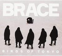 Birds of Tokyo – Brace – CD – Import