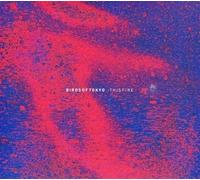 Birds of Tokyo - This Fire [Import]