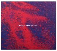 Birds of Tokyo - This Fire [Import]
