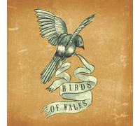 Birds of Wales - Fall of The 49 E.P. [Import]