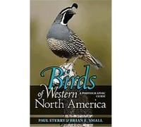 Birds of Western North America, Princeton Field Guides Brian E. Small, Paul Sterry (Auteur)
