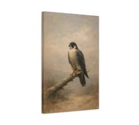 Birds Peregrine Falcon Brown And Grey - Canvas Wall Art Print 16×24 inch (40×60 cm) - Vertical / 1.25 inch (3 cm)