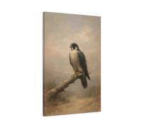 Birds Peregrine Falcon Brown And Grey - Canvas Wall Art Print 20×30 inch (50×75 cm) - Vertical / 1.25 inch (3 cm)