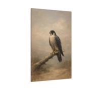 Birds Peregrine Falcon Brown And Grey - Canvas Wall Art Print 32×48 inch (80×120 cm) - Vertical / 1.25 inch (3 cm)