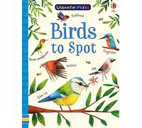 Birds to Spot (Usborne Minis) – Usborne