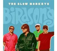 The Blow Monkeys – Birdsong – CD – Broken Silence