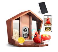 Birdster Mangeoire intelligente pour oiseaux avec caméra à énergie solaire Identification IA Plus de 10 000 oiseaux 2K UHD Vidéo en direct Alertes d'arrivée instantanées et détection de mouvement en