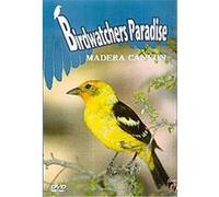 Birdwatchers Paradise - Madera Canyon G