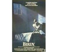 BIRDY, Poster, Affiche 101,5 cm x 69,5 cm G