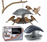 BirdyFeed Duck Square Square Square en pierre de couleur grise 24.8 (Long) x 18.2 (largeur) x 17.4 (hauteur) cm