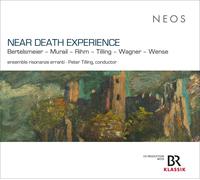 Birke J. Bertel Near Death Experience: Bertelsmeier/Murail/Rihm/Tilling/Wag (CD)