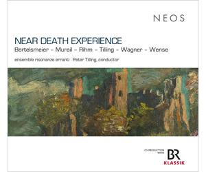 Birke J. Bertel Near Death Experience: Bertelsmeier/Murail/Rihm/Tilling/Wag (CD)