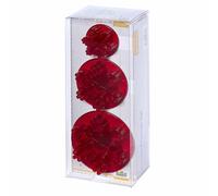 BIRKMANN Set d'emporte-pièces Flocon de neige avec éjecteur, 3 pièces, 3 - 5,5 cm, plastique