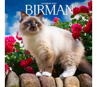 Birman Cat Calendar 2027: Cat Portraits and Breed Scenes