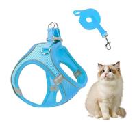 Birtern Ensemble Harnais et laisses pour Chat | Harnais Anti-Traction pour Chien avec laisses, Gilet réglable pour Chiots, Chatons, Chats, pour Voiture, Voyage, Marche, randonnée