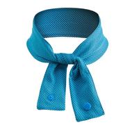 Birtern Serviette de cou rafraîchissante, serviette rafraîchissante pour le cou, bandana respirant, accessoires de sport pour l'extérieur, la plage, les voyages, le softball, le camping, la randonnée