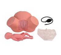 Birth Midwifery Training Model Simulator, Child Birth Simulator Model Dystocia Labor and Delivery Teaching Model with Adjustable Inflatable Bag to Adjust The Width of The Pelvis