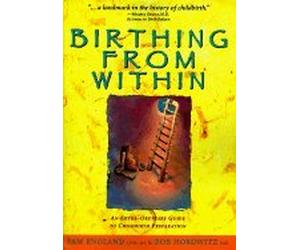 Birthing from Within: An Extra-Ordinary Guide to Childbirth Preparation (Revised)