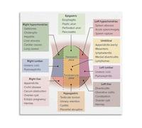 BIRXPMOS Study Aid Abdominal Assessment Quadrants Chart Visual Reference for Nurses and Doctors Canvas Print(Unframed,12x18inch(30x45cm))
