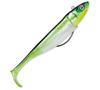 BISCAY SHAD 17-107G CGR