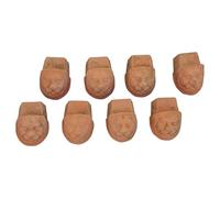 Biscottini Lot de 8 pieds soucoupe patte de lion - pour pot pour plantes d'intérieur et pots pour plantes d'extérieur - sous vase, convient aux pots carrés ronds et rectangulaires