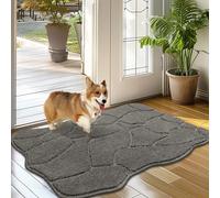 Biscpro Paillasson Intérieur Doux 50x80cm Antidérapant et Lavable Tapis de Porte d'Entrée Tapis de Sol pour Chien pour l'Entrée la Porte d'Entrée Le Couloir-Gris