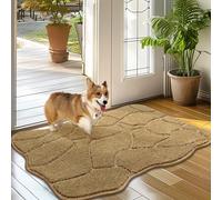 Biscpro Paillasson Intérieur Doux 50x80cm Antidérapant et Lavable Tapis de Porte d'Entrée Tapis de Sol pour Chien pour l'Entrée la Porte d'Entrée Le Couloir-Beige
