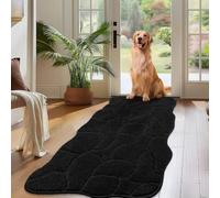 Biscpro Paillasson Intérieur Doux 60x150cm Antidérapant et Lavable pour Chien Entrée Couloir,Cuisine,Couloir-Noir
