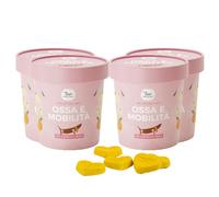 Biscuits pour Chiens Contre l'arthrite | Riches en glucosamine, chondroïtine et Arnica| Snack Chien Fonctionnel goût Abricot idéal pour os et mobilité | 100 g x4 | Aliment complémentaire Italien |