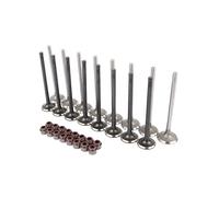 Bisenya 8x Soupape d'admission + 8x Soupape de Sortie Compatible avec 1.2 1.4 1.6 FSI 12V 16V BWK CAVA CAVD ARC AVY ATN 036109611K 036109601S
