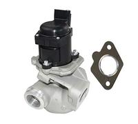 Bisenya Vanne EGR avec joint 161859 1618NR Compatible avec 1.6 HDI C2 C3 C4 C5 Berlingo 206 207 307 308 407 1007 1618.59 1618.NR 9649358780 9660276280 9685640480 9672880080