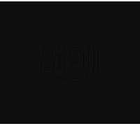 BISH - Paint It Black