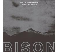Bison - Not Ocean You are The Patient