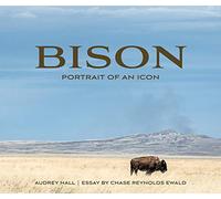 Bison: Portrait of an Icon