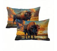 Bison Taies d'oreiller 40x70 Housse Coussin Velours Lot de 2, Taie Oreiller Orange Brûlée, Douce et Respirante Housse de Coussin Canapé Exterieur Impermeable pour Salon Jardin avec Fermeture K2-301