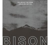 Bison – You Are Not the Ocean You Are the Patient – CD – Import