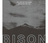 Bison – You Are Not The Ocean You Are The Patient – Vinyle LP 12 pouces (analogique)